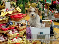 07 1209 shopping natalizio